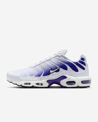 TN Air Max Bleu/Blanc