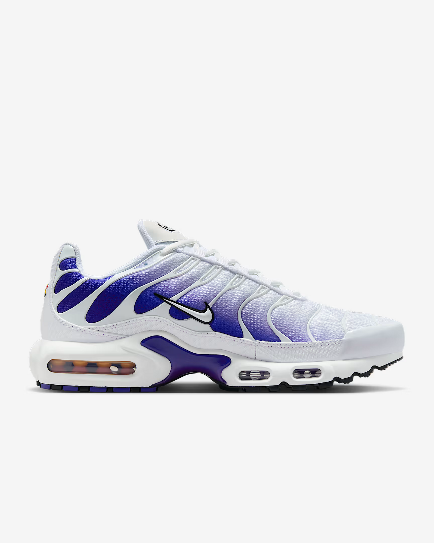 TN Air Max Bleu/Blanc