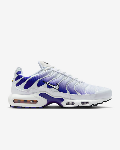 TN Air Max Bleu/Blanc