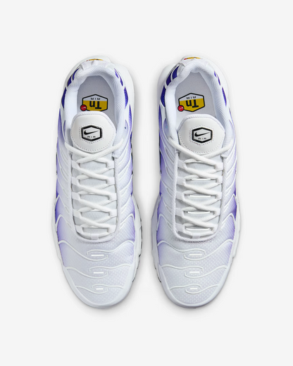 TN Air Max Bleu/Blanc